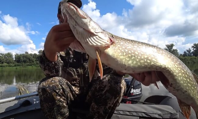 Рибалка: скрін з відео