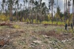 Держекоінспекція