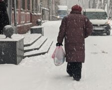 Морозы и снегопады усилятся: синоптики предупредили об опасной погоде. Не отпускайте детей одних