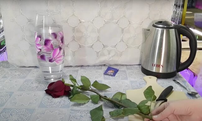 Вы удивитесь тому, сколько простоят цветы: простые способы, которые продлят жизнь любого букета