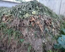 Компост, кадр из видео