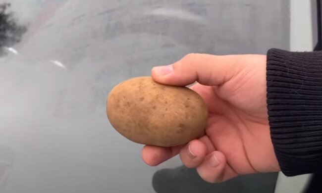 Лобовое стекло и картофель: скрин с видео