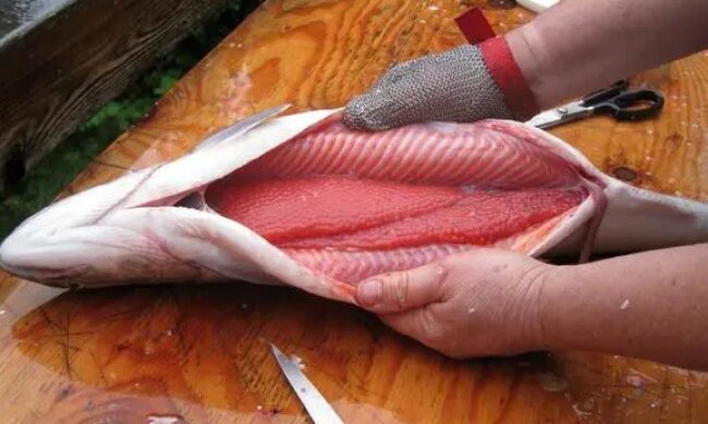 Теперь вы сможете выбрать самое вкусное: как быстро определить, есть ли в рыбе и икра