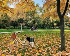 Осень, украинцы, фото из соцсетей