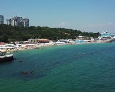 Бруд і водорості: українка показала відео з одеських пляжів. Купатися тільки в сорочці