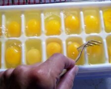Заморожування яєць, фото: youtube.com