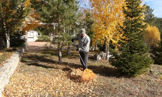 Прибирання листя. Фото: YouTube