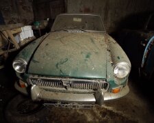 Стояли в заростях: блогери знайшли посеред поля занедбану колекцію старих авто