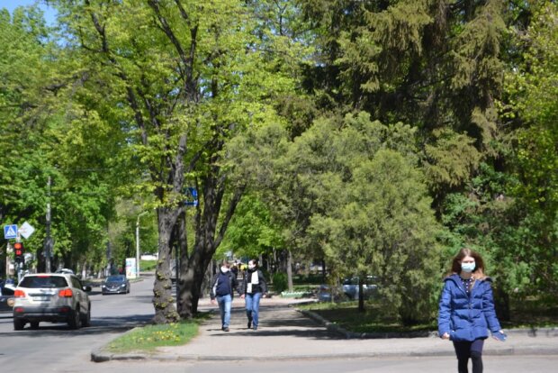 Карантин в Украине. Hyser