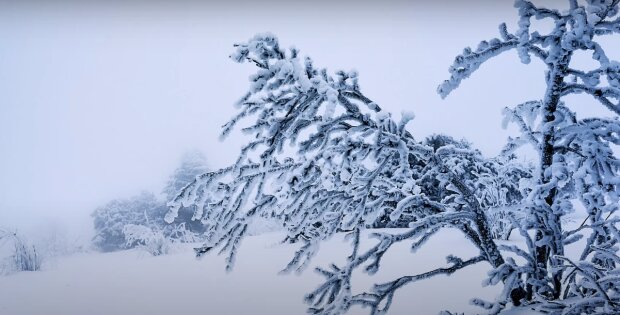Шквальный ветер и ливни со снегом: на Рождество погода испортится во всех регинах