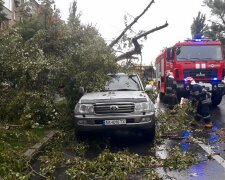 Шквальний вітер, фото: скріншот