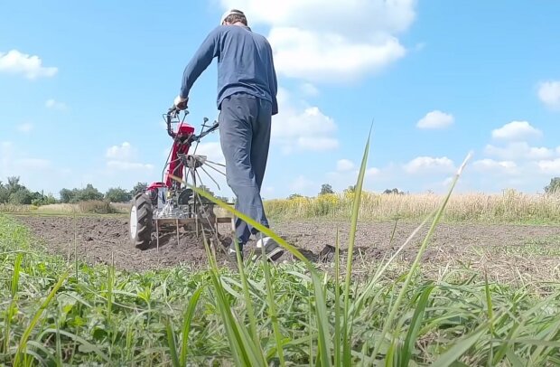 Земля буде вдвічі родючішою: що потрібно зробити на городі відразу після збирання врожаю