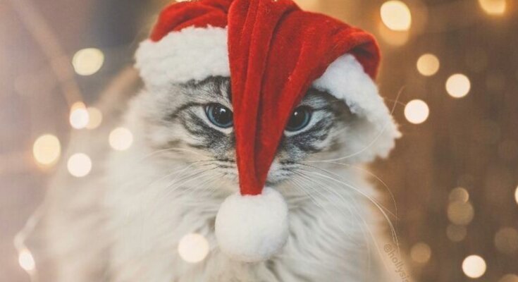 Гороскоп, зображення: Pinterest