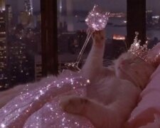 Гороскоп, изображение: Pinterest
