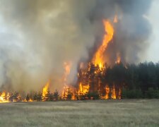 Лесной пожар. YouTube