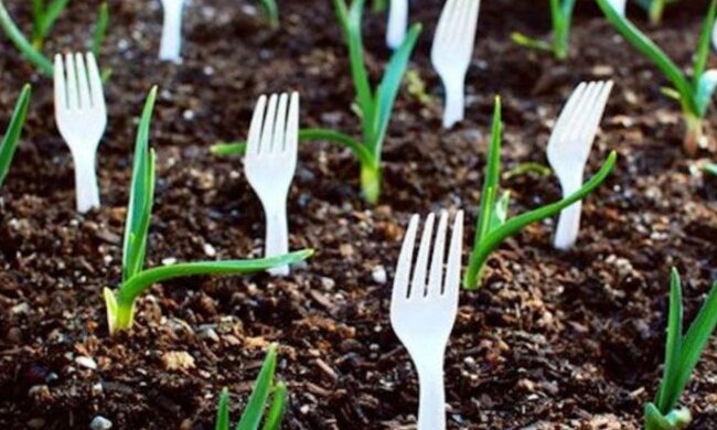 Вилки на городі, фото із соцмереж