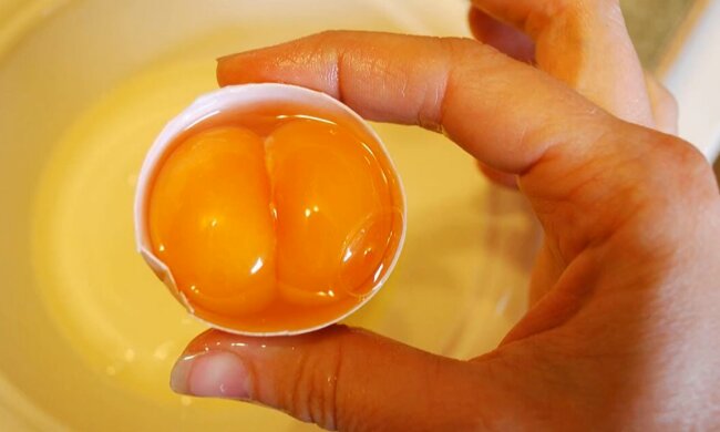 Яйце з двома жовтками. Фото: YouTube