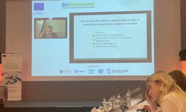 Т.в.о. Голови Держекоінспекції Ігор Зубович взяв онлайн участь у міжнародному семінарі за участю екологічних інспекцій країн