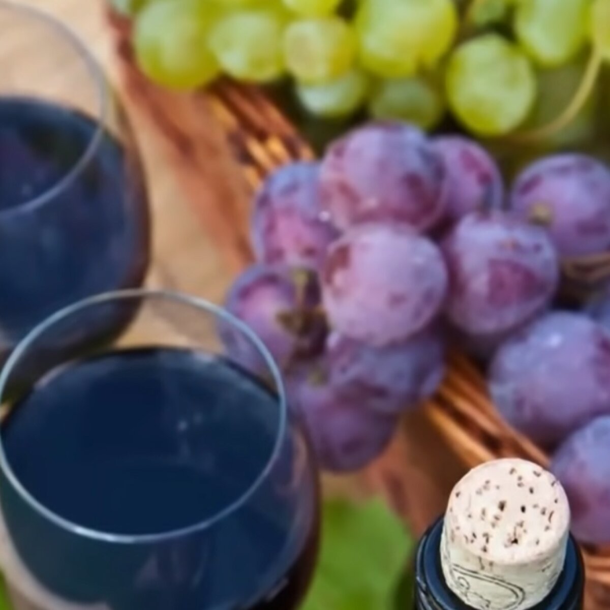 Как сделать домашнее вино из винограда