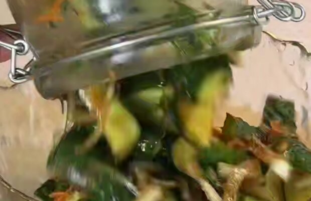 Маринованные огурцы, кадр из видео