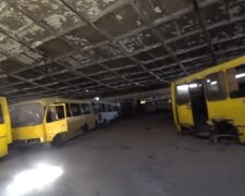 Як у фільмах про кінець світу: на околицях Києва знайшли покинуту колекцію автобусів