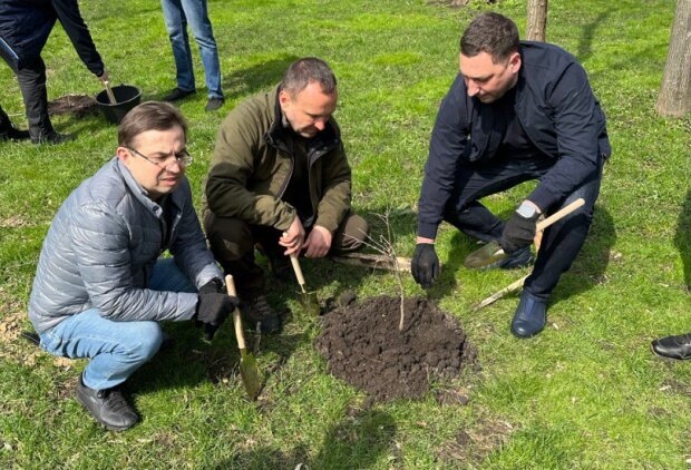 Держекоінспекція розповіла, як висаджує дуби у різних районах Києва навіть під час війни
