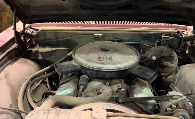 Chevrolet Chevelle Z16 1965 року, кадр з відео