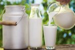 Будете проклинать все на свете: названы продукты, которые ни в коем случае нельзя сочетать с молоком