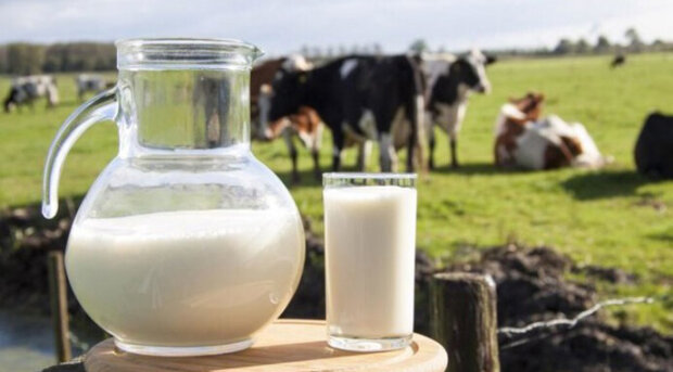 Адже про це попереджали: в Україні ціни на молоко б'ють рекорди