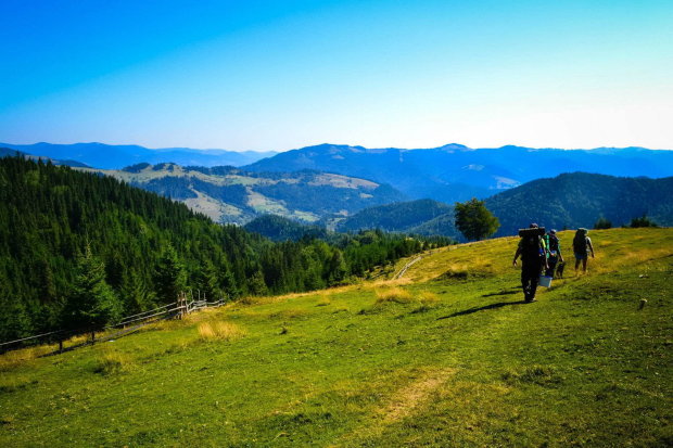 Лучшие места для летнего отдыха в Карпатах. Фото