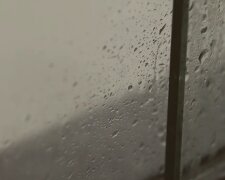 Вікна, конденсат, пліснява