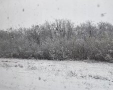 Сніг на Київщині. Фото: segodnya.ua