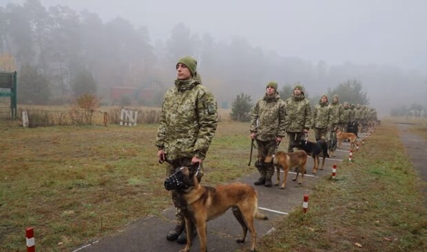 Полная готовность: Украина отправила на границу с Беларусью тысячные отряды полиции