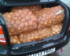 Не повторюйте цю помилку: як правильно возити мішки з картоплею в автомобілі