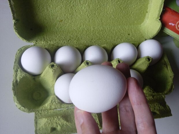 Эту ошибку повторяет каждый: как ни в коем случае нельзя разбивать яйца