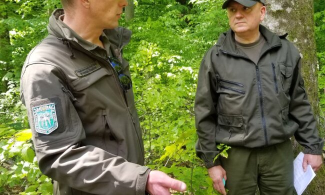 В Держекоінспекції розповіли про масштабне порушення: близько 16 мільйонів гривень