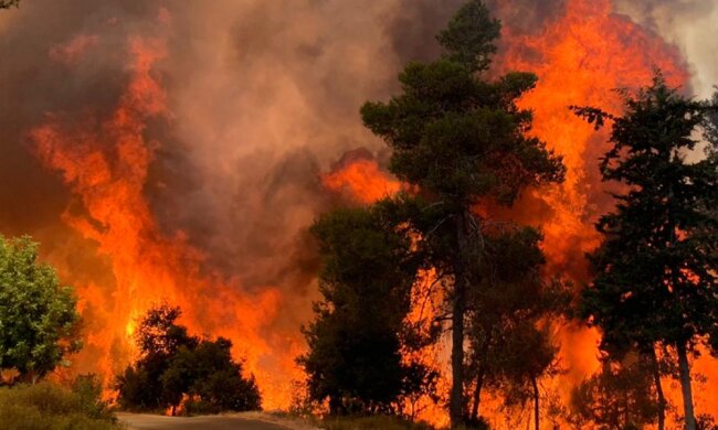 Плохой знак: возле Иерусалима пылают пожарища, людей эвакуируют