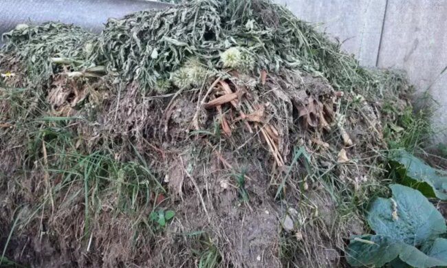 Компост, кадр из видео