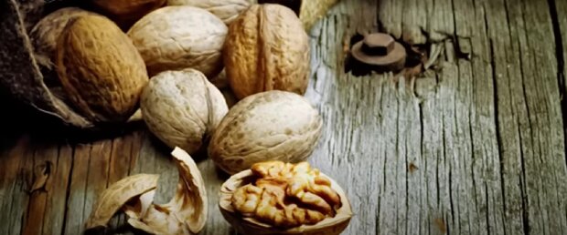 Чем коварна плесень в грецких орехах?