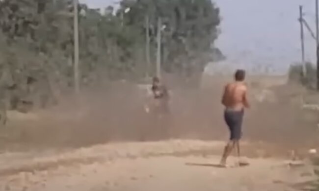 Кара небесная: в Краснодарском крае России историческое нашествие саранчи. Видео