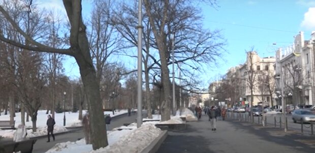 Температурные скачки и аномальное тепло: в Украину врывается настоящая весна