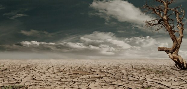 Засуха, фото: скриншот You Tube