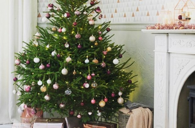 Пора готовить украшения: где можно купить новогоднюю елку и во сколько она обойдется