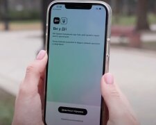 Даже не нужно выходить из квартиры: какие виды социальных пособий можно оформить через "Дію"
