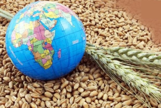 Готуємося до історичного голоду: пшениці залишилося всього на кілька тижнів. Такого ще не було