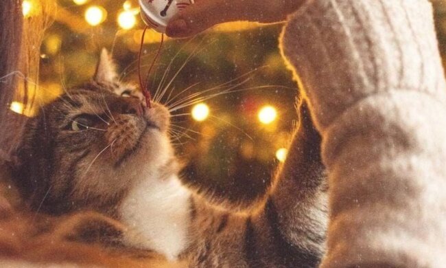 Гороскоп, зображення: Pinterest