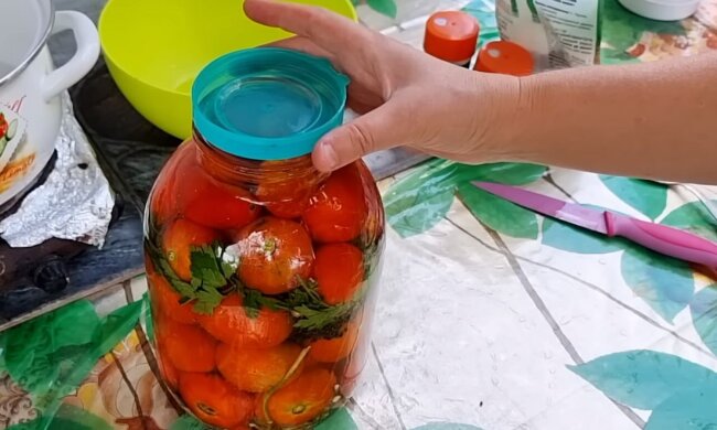 Ви закачаєтесь від цього смаку: єврейський рецепт перших малосольних помідорів з чорною смородиною
