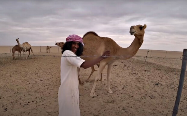Никаких верблюдов! Фото: скриншот YouTube-видео.