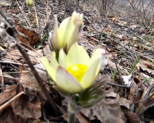 Погода в Украине. Фото: скриншот YouTube-видео.