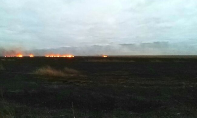 Экологическое бедствие в Одессе. Пожар охватил уникальный природный парк